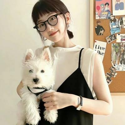 公牛犹斗海报