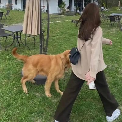 轻音少女第二季 粤语版海报